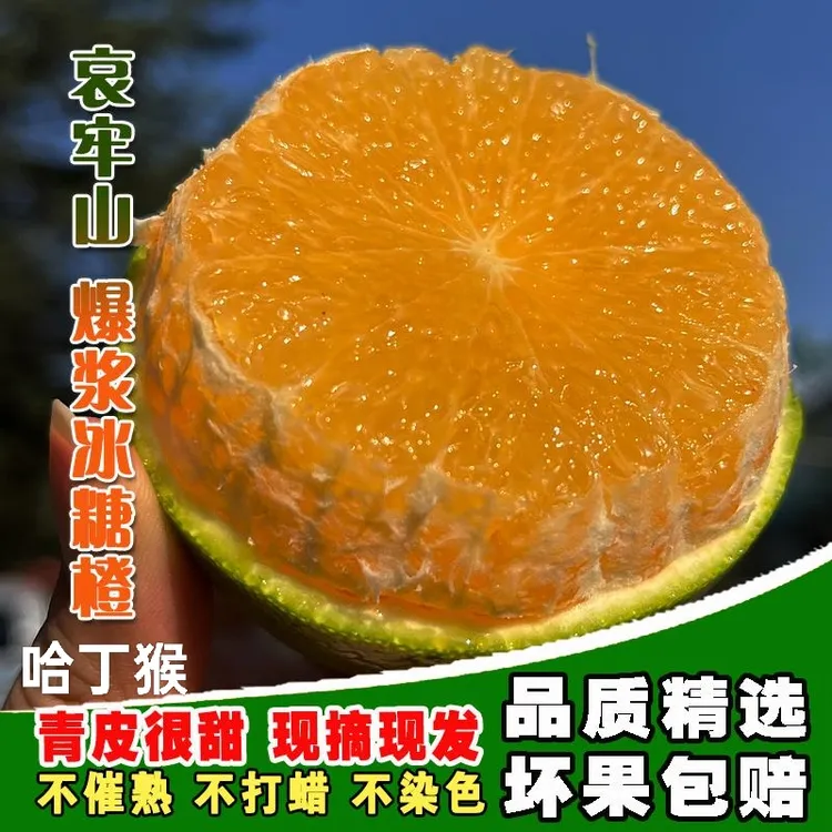 【头茬·鲜果1】正宗云南哀牢山爆浆冰糖橙5斤皮薄肉厚清甜不酸现摘