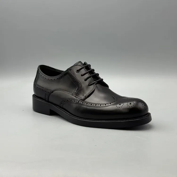 （尊龙专属）2025年秋冬新款轻质厚底系带男士系带布洛克830218