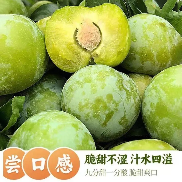 贵州新鲜应季脱骨青脆李酸甜可口多汁江安李孕妇水果