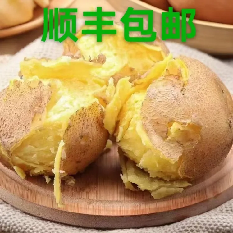 2025甘肃定西高山土豆黄皮黄心食用马铃薯旱地洋芋净重顺丰包邮