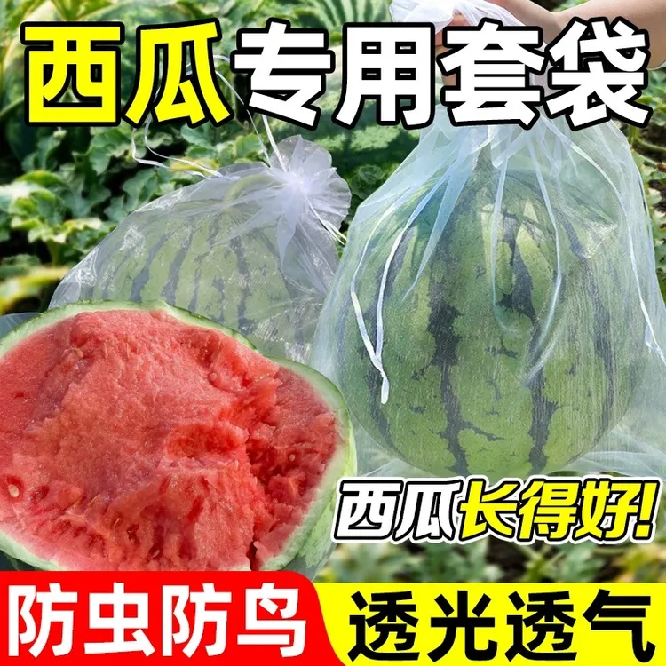 【畅销热卖】西瓜专用套袋防虫防鸟果袋好物不积水透气透光防虫套