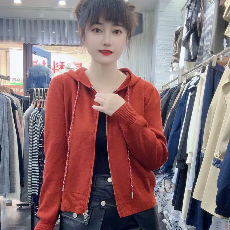 秋冬新款极简风净版拉链连帽针织开衫外搭外套毛衣女百搭精致高档