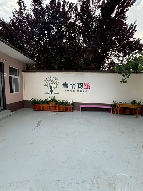 青萌树快乐体验一周