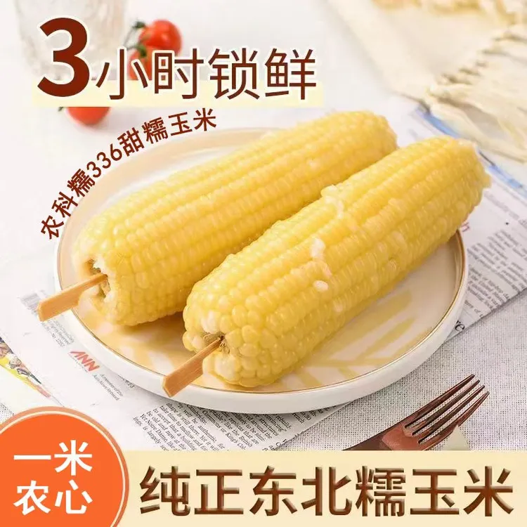 试吃2根 2025年农科糯336东北甜糯玉米到手10根fst