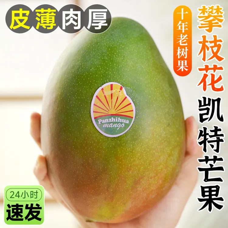 四川攀枝花凯特芒果新鲜10应季斤水果芒果整箱包邮特大青忙果当季