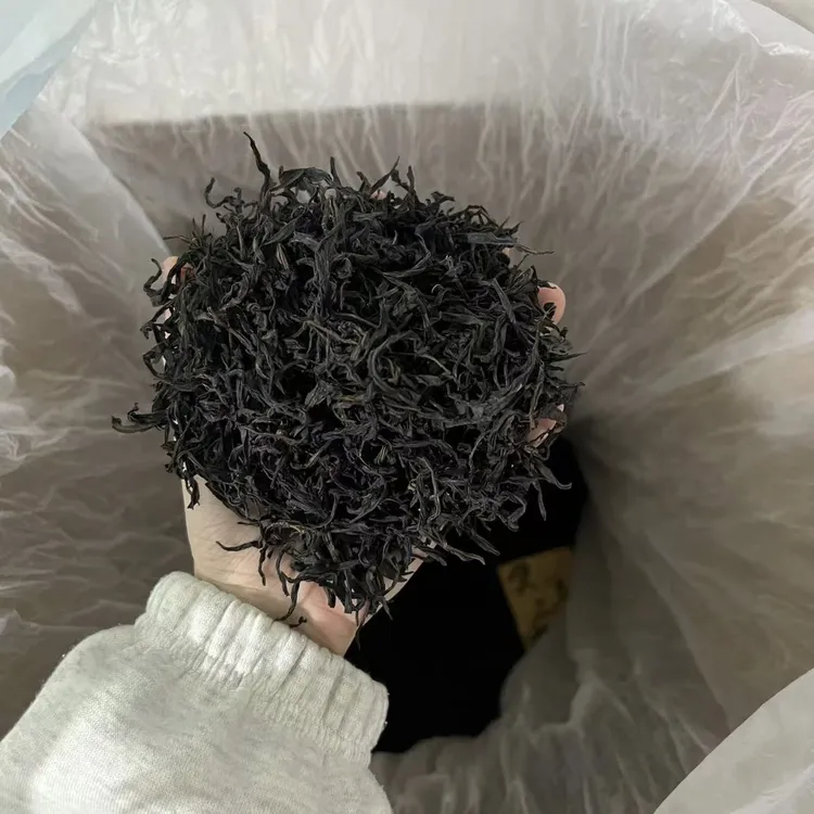 锯朵仔【中火杏仁香】醇甘浓郁4罐1斤礼品装