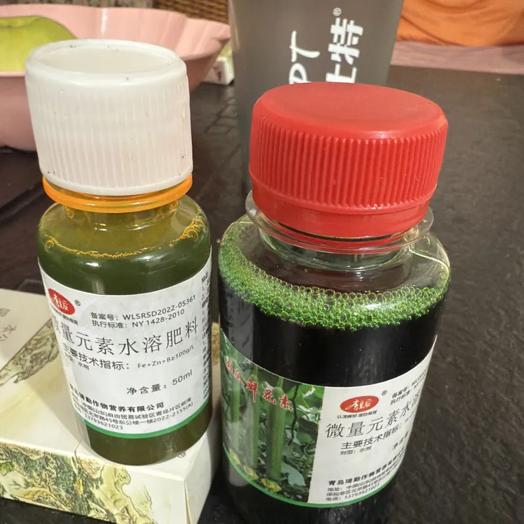 丝瓜鲜花药水，丝瓜沾花用花瓣黄，厚，硬，毛笔花增产增收减少畸形瓜