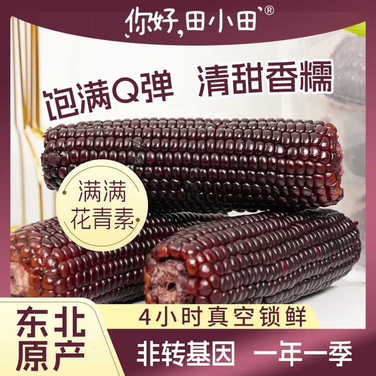 【你好田小田】黑糯玉米富含花青素非转基因新鲜即食1.6kg真空包装