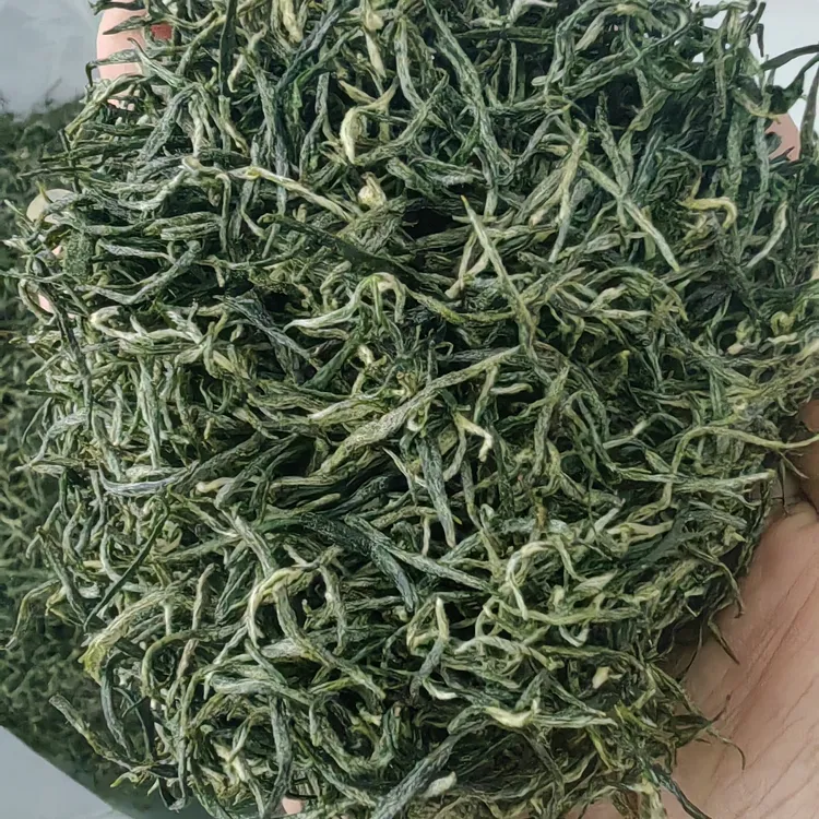 信阳毛尖雨前茶清香型高山口粮茶原产地直发包邮