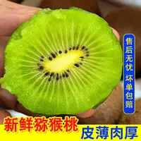zt 正宗徐香猕猴桃 陕西周至新鲜采摘当季水果新鲜直发现摘现发