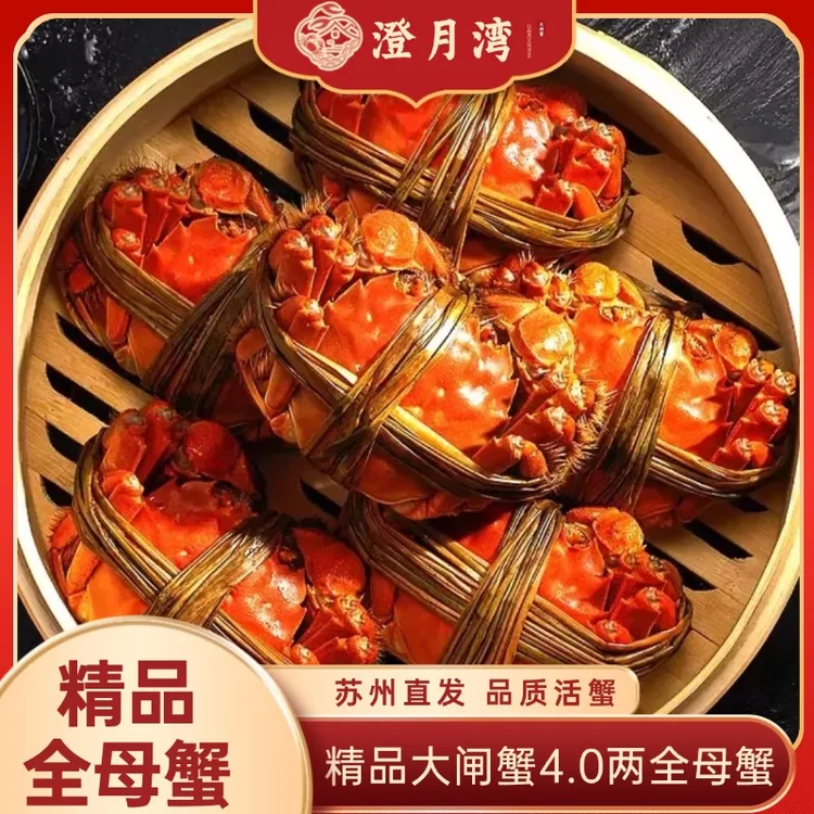 【活蟹】澄月湾大闸蟹4两全母蟹8只装苏州精品大闸蟹