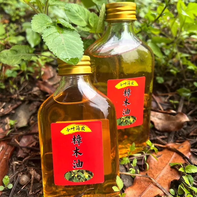广西老香樟树香樟油纯天然驱蚊赶蟑螂绘画舒筋活络纯香樟木油精油