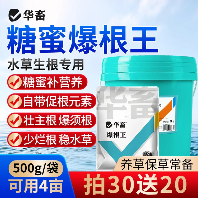 【拍30发50】爆根王螃蟹塘生根保草护草促长抗高温水草生根辅净水S商品图