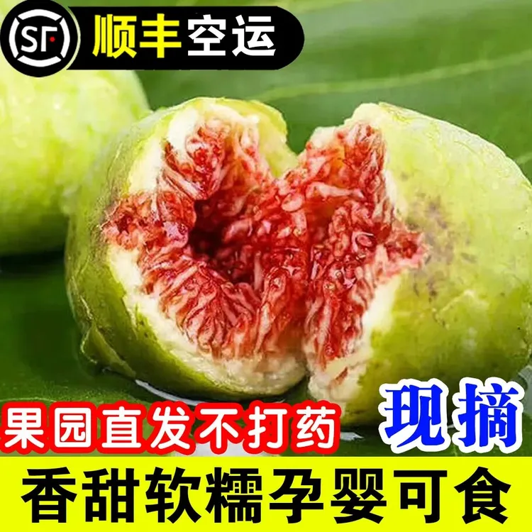 顺丰空运无花果新鲜威海特产青皮无花果鲜果大果孕妇现摘新鲜水果