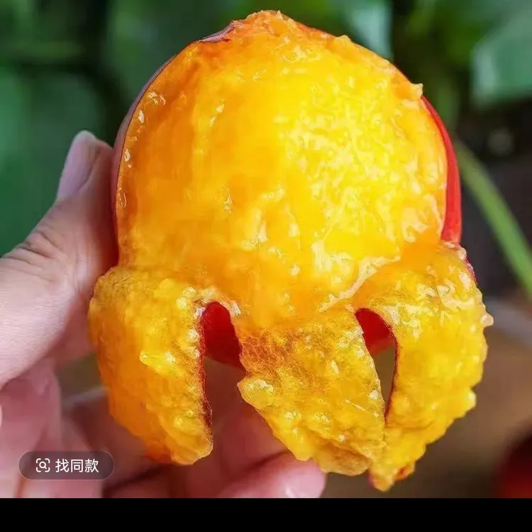 油桃新鲜水果香甜多汁现摘现发当季整箱包邮