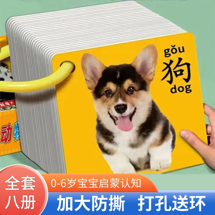 宝宝认知卡片0-3岁看图识认物早教创意玩具卡片幼儿五官数字书