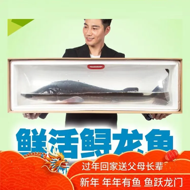 顺丰保活鲜活鱼鲟龙鱼鱼中华鱼鲜活体无刺鱼脆骨送礼礼品生鲜活鱼