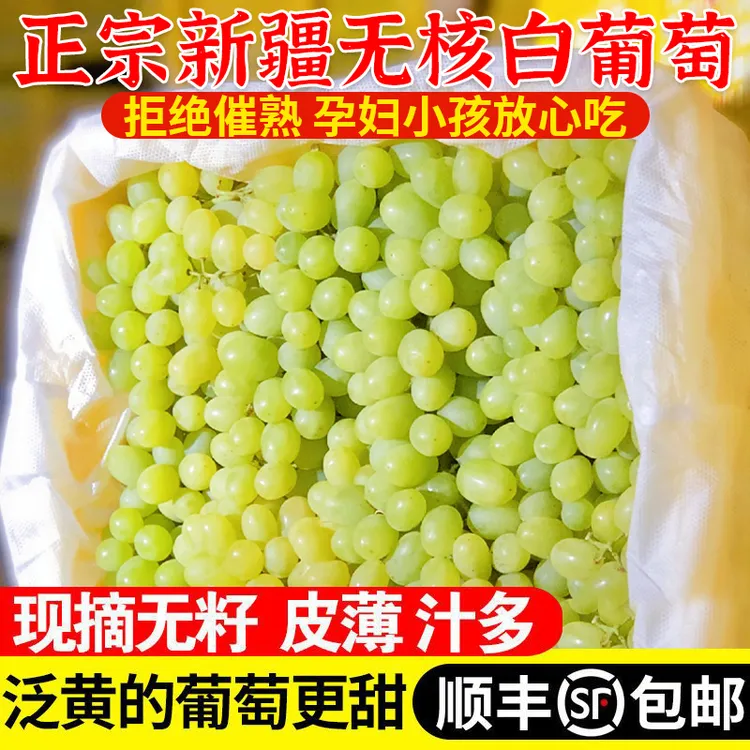 【顺丰包邮】新疆吐鲁番无核白葡萄新鲜水果无籽马奶葡萄应季水果