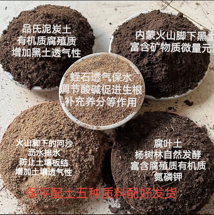 火山土，品氏泥炭土，杨树林腐叶土，河沙蛭石，五种质料配好营养土