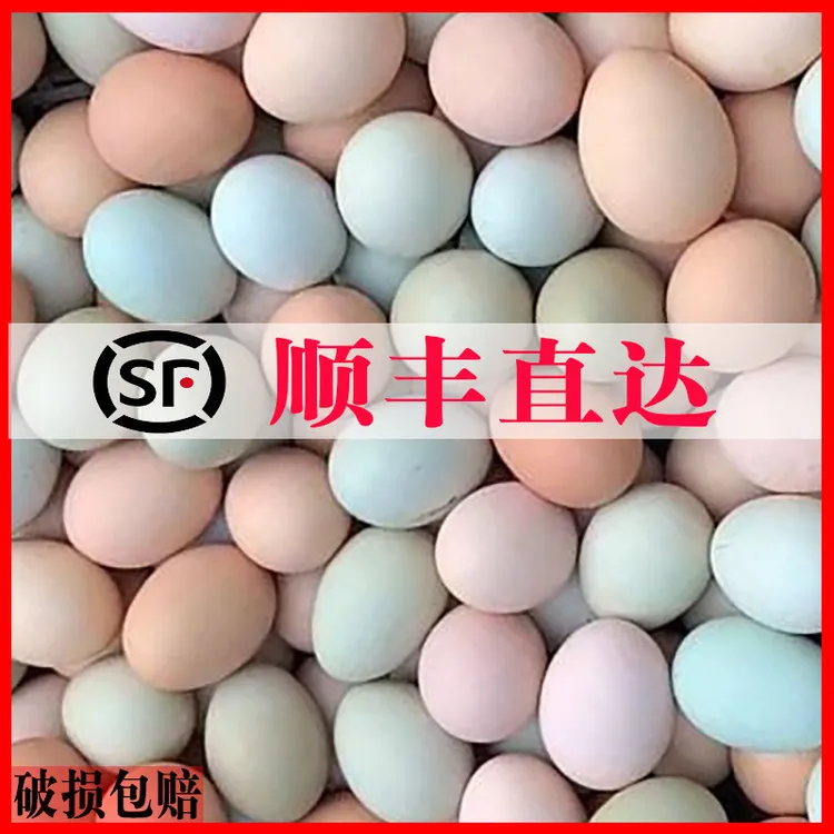 农家散养土鸡蛋新鲜柴鸡蛋生态健康营养美味