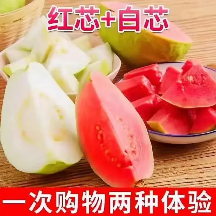 广西芭乐新鲜现摘番石榴糯软香甜坏果包赔产地直发白心芭乐