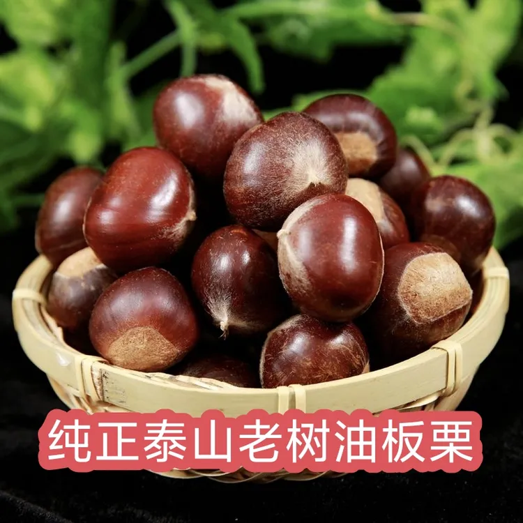 新泰山老树板栗油栗正宗粉糯香甜自然成熟