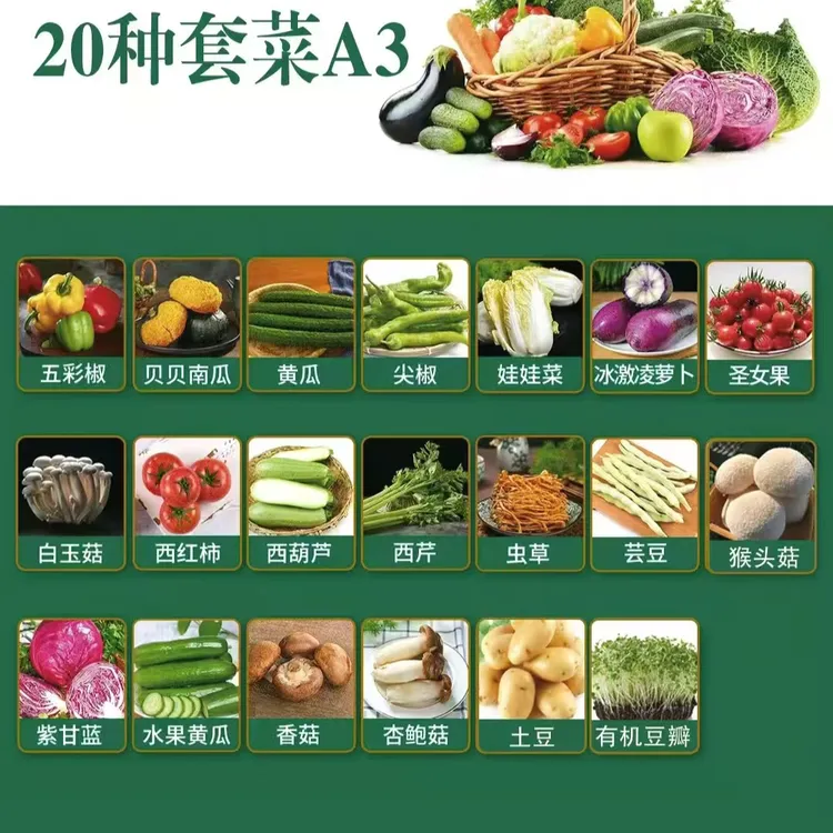 山东新鲜蔬菜组合礼盒大礼包当季套菜特菜套餐春节送礼香椿