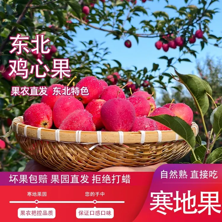 黑龙江鸡心果香妃海棠酸甜可口新鲜采摘应季水果原产直发不打蜡