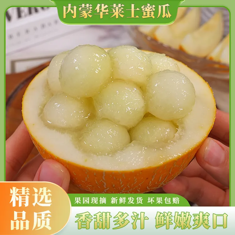 【顺丰】内蒙华莱士蜜瓜新鲜现摘磴口华莱士瓜沙漠网纹瓜9.8斤起