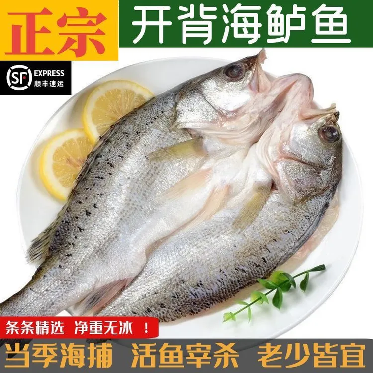 顺丰（450-550g条/5条）开背鲈鱼特大号三去海鲈鱼商用真空海鱼
