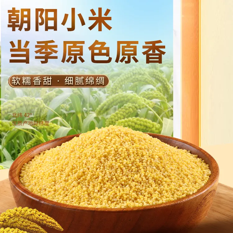 正宗东北辽宁朝阳小米黄小米五谷杂粮新小米煮小米粥正品批发食用