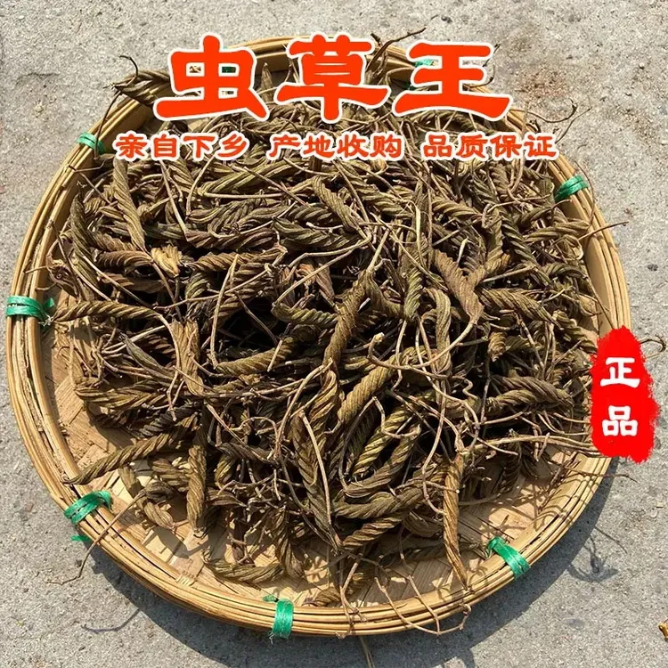 【临时链接】黑虫草野生天然无硫 云南好货 虫草王 WJNL