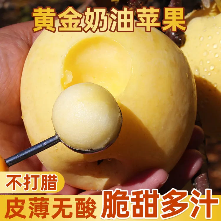 【脆甜多汁黄金奶油富士】山东烟台新鲜水果糖心丑3-9斤脆甜白苹果