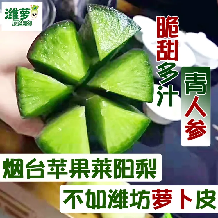 “潍萝青蜜“高端品质款/包甜不辣/非普通潍坊水果萝卜甜脆爽口5斤