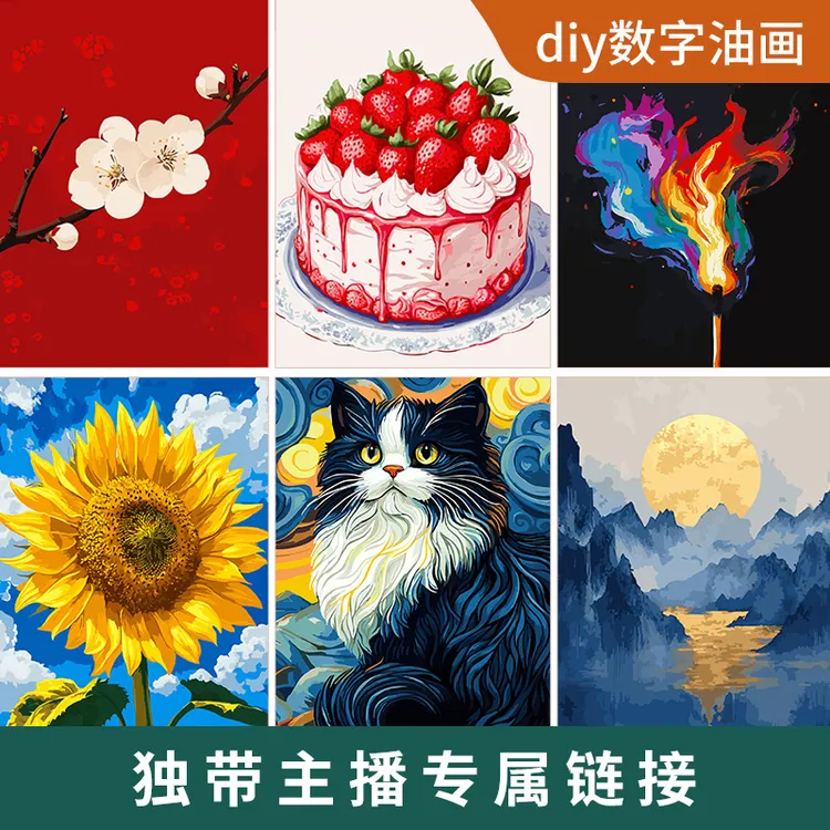 小尺寸小画40x40diy数字油画独带专属新手练习