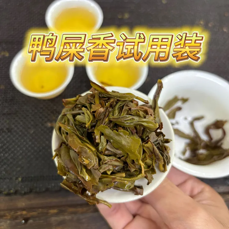 凤凰山鸭屎香试用装