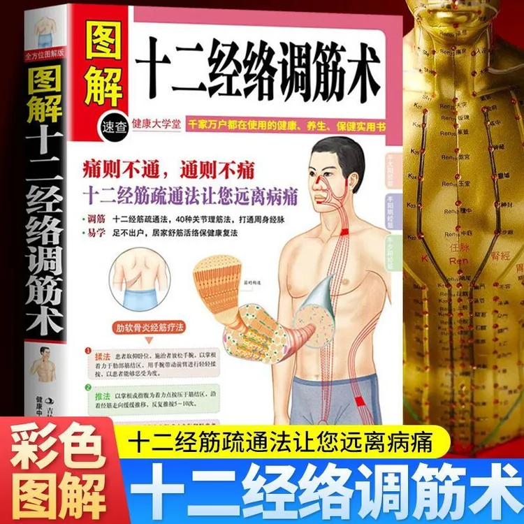 图解十二经络调筋术50种疾病对症的筋保健法中医经络穴位按摩