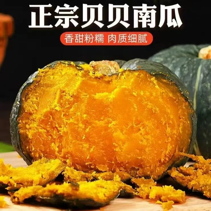 巫山新鲜应季贝贝南瓜粉糯香甜板栗味宝宝辅食迷你小南瓜2-8斤