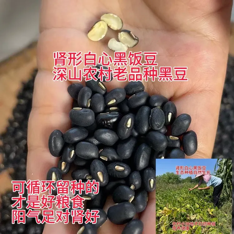广西老品种黑饭豆白心千年自留种深山种植自产自销肾形新豆农家