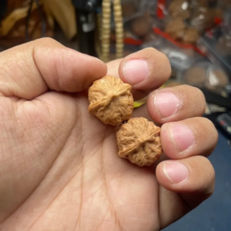 赤翡独家品种文玩小核桃手捻老树