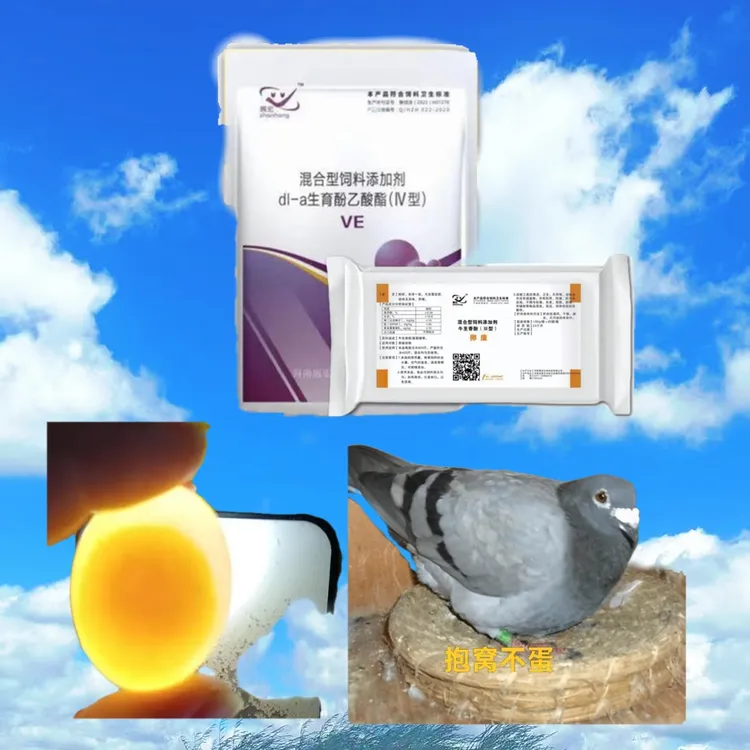 【卵康+维生素E】鸽子增蛋快下蛋多多提高受晶率