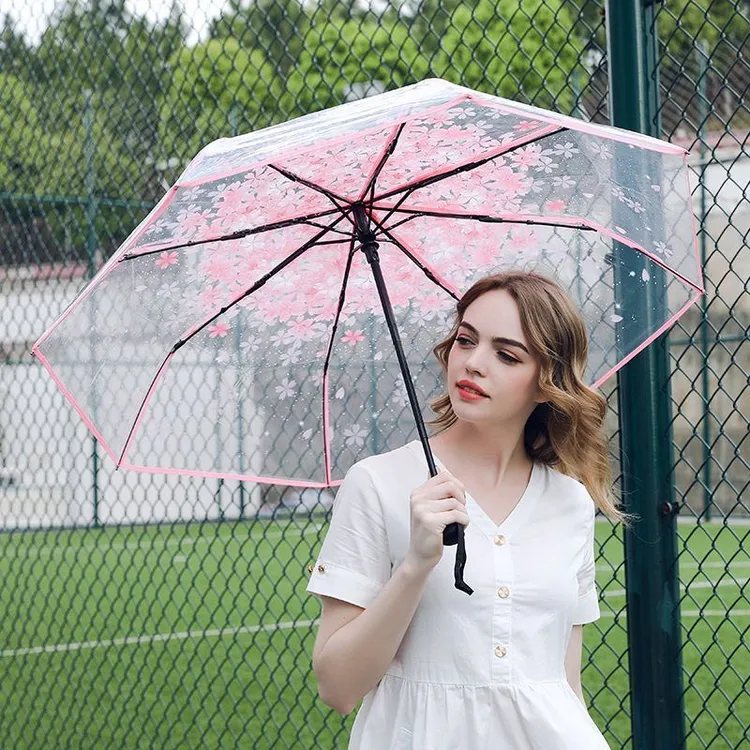 全自动折叠透明樱花拱形长柄雨伞阿波罗伞日系小清新拍照