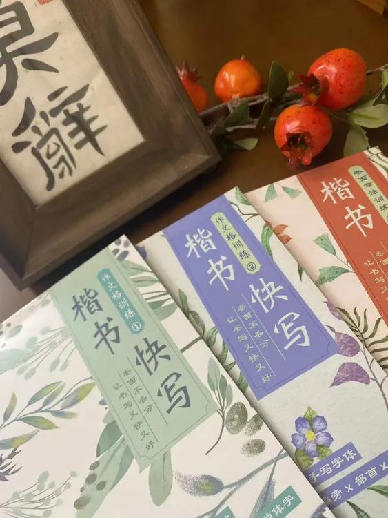 楷书快写作业体考试体练字帖|小学生|初中生|高中生|硬笔练字帖