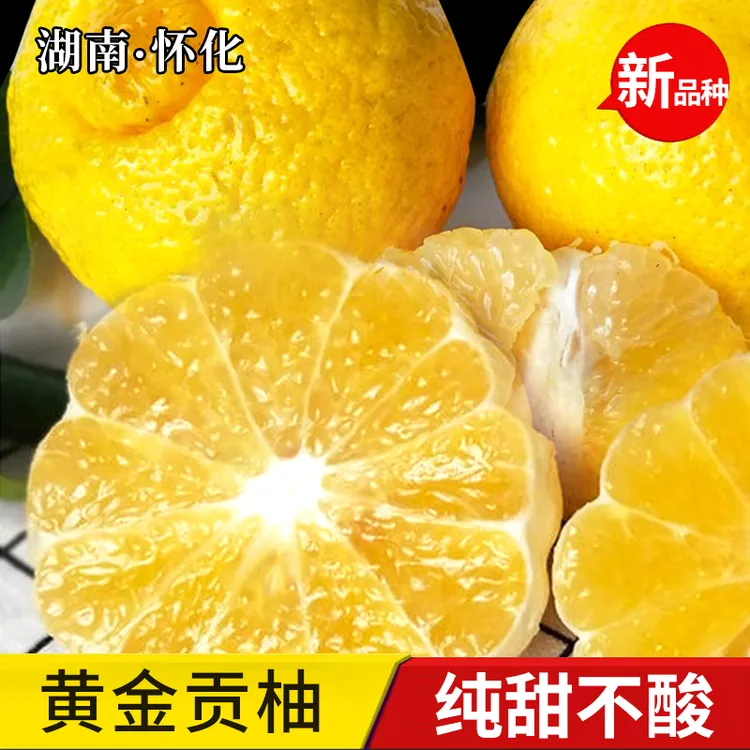 正宗洪江黄金贡柚湖南怀化安江纯甜春香金柚新鲜水果岩垅象山青