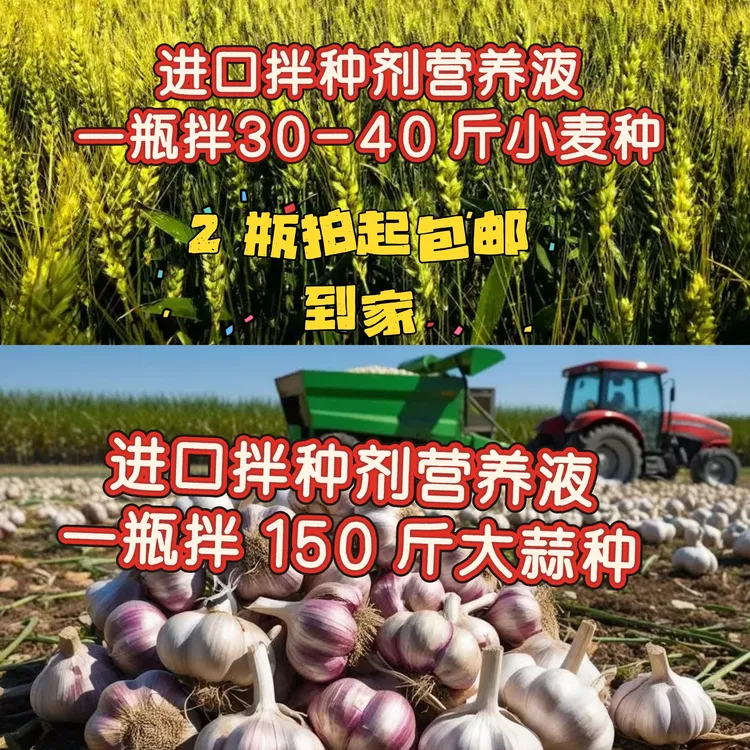 大蒜小麦拌种营养液