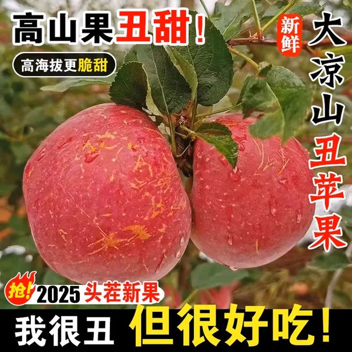 四川大凉山盐源冰糖心丑苹果新鲜采摘脆甜多汁水果