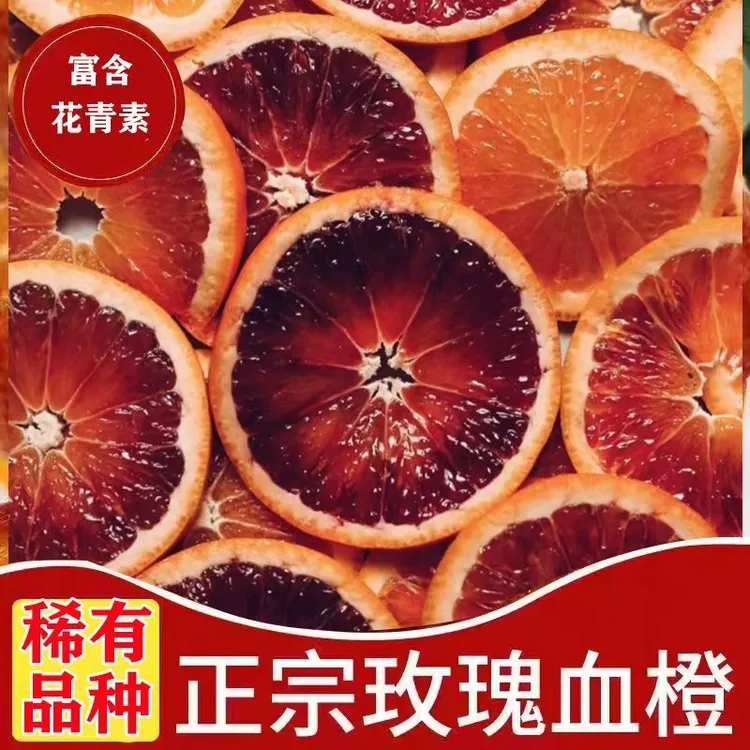 重庆万州玫瑰香橙塔罗科血橙手剥橙果冻橙红橙红橙时令水果一整箱