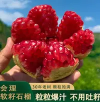 【家乡时光】正宗会理突尼斯软籽石榴爆甜多汁新鲜应季水果坏果包赔