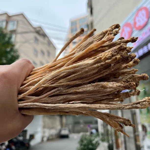 恩施板桥高山直发种植黄芪党参中条滋补养生可煲汤党参产地直销