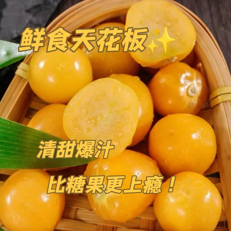 东北姑娘果灯笼果新鲜采摘整箱包邮